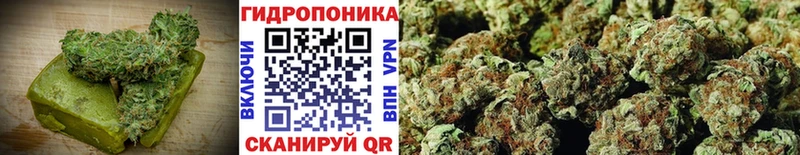 Купить где  Каргополь  Canna-Cookies конопля 