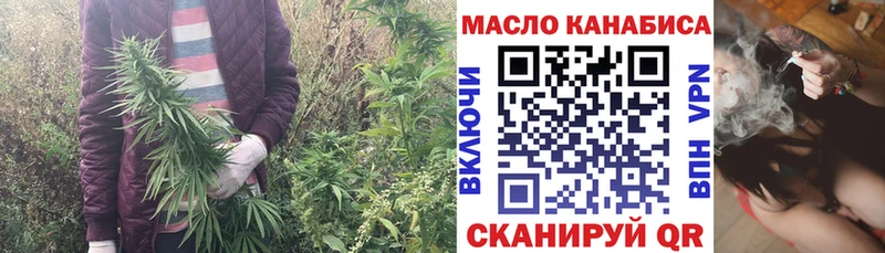 Купить  Каргополь  ТГК гашишное масло 